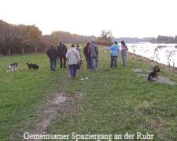 Gemeinsamer Spaziergang an der Ruhr