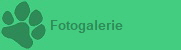 Fotogalerie