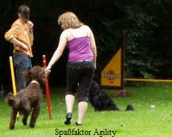Spafaktor Agility