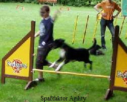 Spafaktor Agility