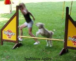 Spafaktor Agility