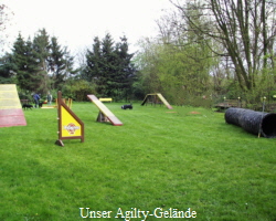 Unser Agilty-Gelnde