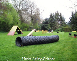 Unser Agilty-Gelnde