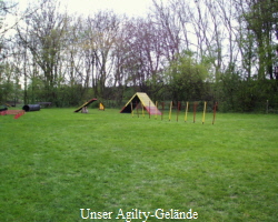 Unser Agilty-Gelnde