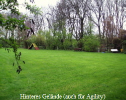 Hinteres Gelnde (auch fr Agility)