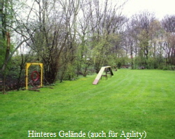 Hinteres Gelnde (auch fr Agility)