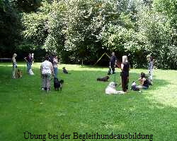 bung bei der Begleithundeausbildung