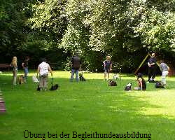 bung bei der Begleithundeausbildung