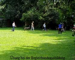 bung bei der Begleithundeausbildung
