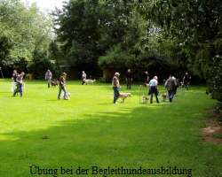 bung bei der Begleithundeausbildung