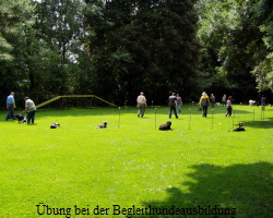 bung bei der Begleithundeausbildung