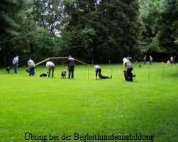 bung bei der Begleithundeausbildung