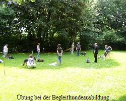 bung bei der Begleithundeausbildung