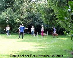 bung bei der Begleithundeausbildung
