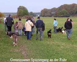 Gemeinsamer Spaziergang an der Ruhr