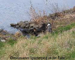 Gemeinsamer Spaziergang an der Ruhr