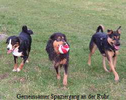 Gemeinsamer Spaziergang an der Ruhr