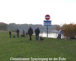 Gemeinsamer Spaziergang an der Ruhr
