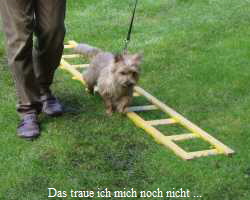 Das traue ich mich noch nicht ...