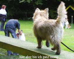 ... hier aber bin ich ganz mutig