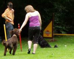 Foto_Galerie_Agility_01_250x200