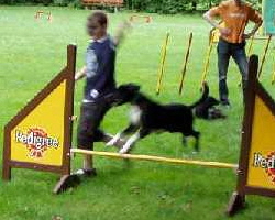 Foto_Galerie_Agility_02_250x200