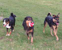 Foto_Galerie_Spaziergang_04_250x200